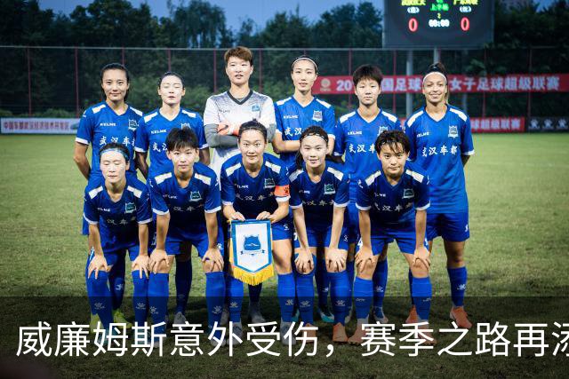 威廉姆斯意外受伤，赛季之路再添难题